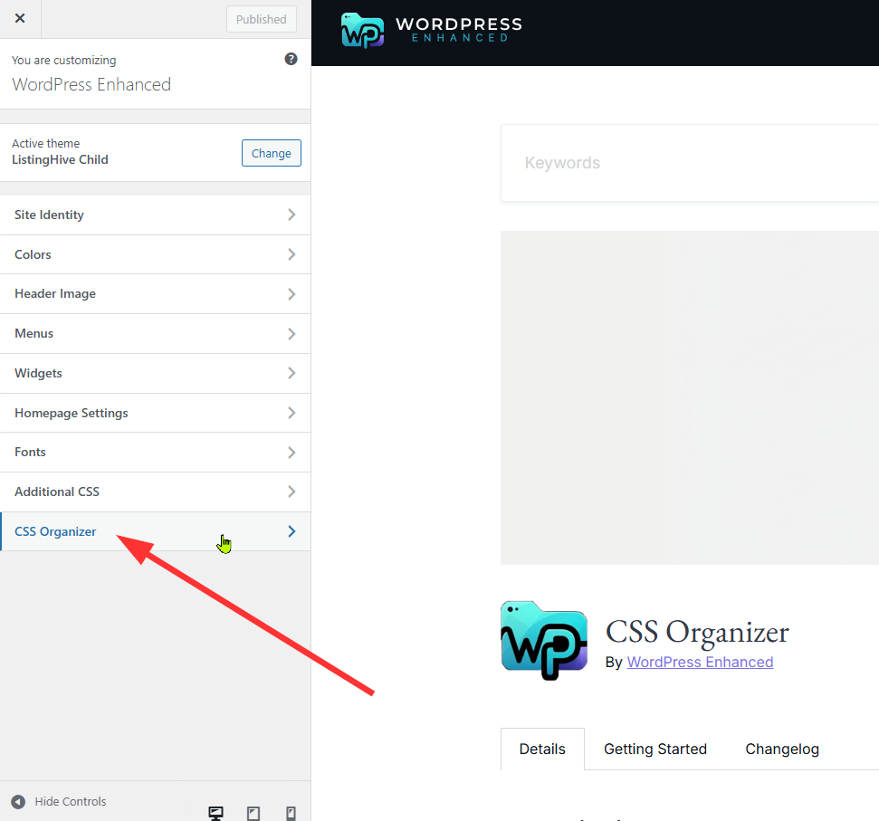 Customizer options with CSS Organizer at the bottom