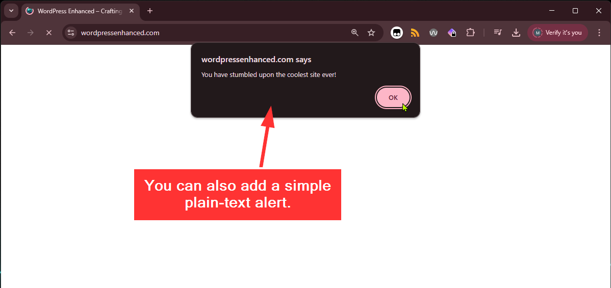 A plain text JavaScript alert notice.
